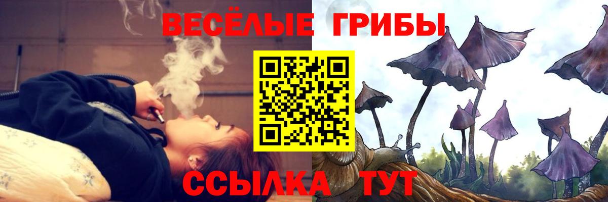Псилоцибиновые грибы Psilocybine cubensis  Вход с VPN  сколько стоит  Кострома  Псилоцибиновые грибы мицелий 